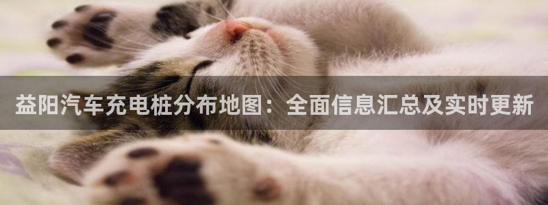 威廉希尔500欧洲指数怎么看：益阳汽车充电桩分布地图：全面信息汇总及实时更新