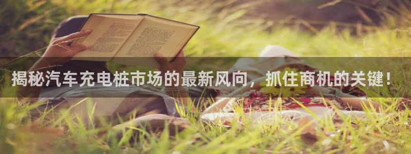 威廉希尔诺贝尔奖：揭秘汽车充电桩市场的最新风向，抓住商机的关键！