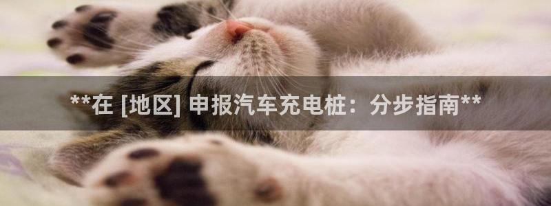 威廉客户端app下载官网：**在 [地区] 申报汽车充电桩：分步指南**