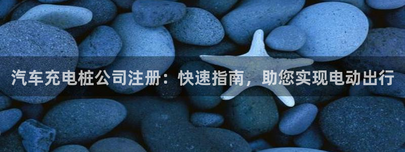 威廉希尔和立博欧赔：汽车充电桩公司注册：快速指南，助您实现电动出行