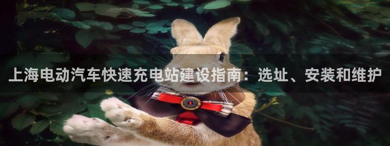 威廉希尔对比法：上海电动汽车快速充电站建设指南：选址、安装和维护