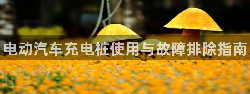 威廉国际学校：电动汽车充电桩使用与故障排除指南