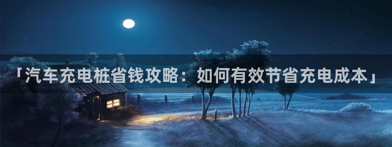 威廉希尔和inter：「汽车充电桩省钱攻略：如何有效节省充电成本」