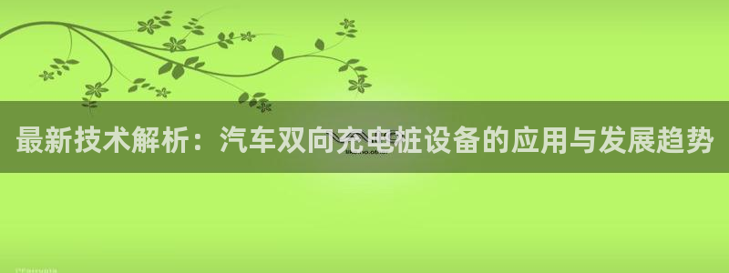 威廉国际骗局：最新技术解析：汽车双向充电桩设备的应用与发展趋势