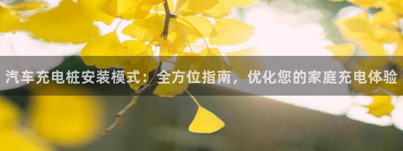 威廉国际平台有人玩过吗安全吗：汽车充电桩安装模式：全方位指南，优化您的家庭充电体验