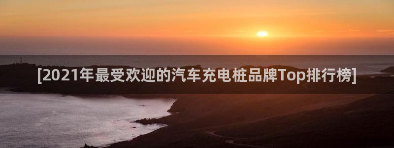 威廉体育官方app下载安装苹果：[2021年最受欢迎的汽车充电桩品牌Top排行榜]