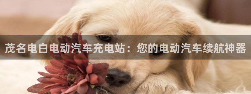 威廉希尔大小球对应水位：茂名电白电动汽车