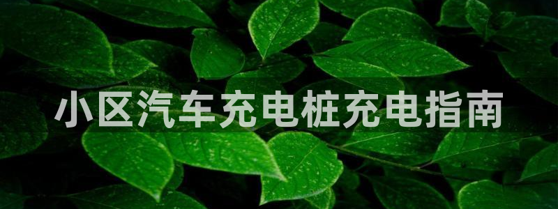 威廉希尔吧：小区汽车充电桩充电指南