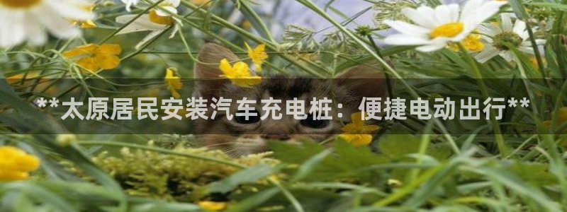 威廉澳门比较：**太原居民安装汽车充电桩：便捷电动出行**