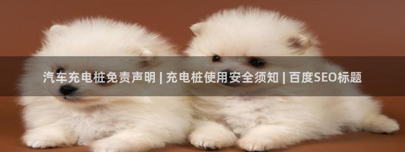威廉希尔凯利指数特点：汽车充电桩免责声明 | 充电桩使用安全须知 | 百度SEO标题