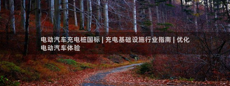 威廉希尔500欧洲：电动汽车充电桩国标 | 充电基础设施行业指南 | 优化
电动汽车体验
