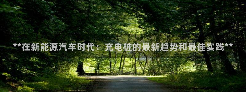 威廉篮球俱乐部：**在新能源汽车时代：充电桩的最新趋势和最佳实践**