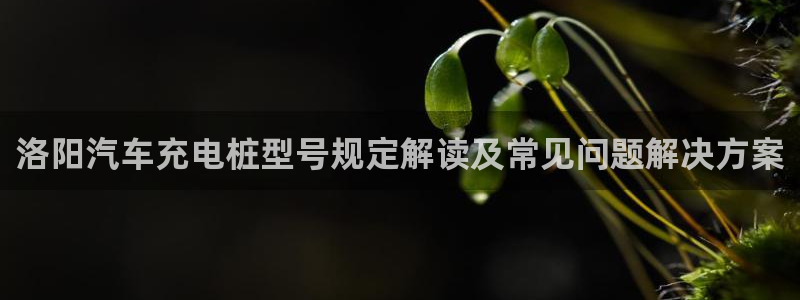 威廉国际平台有人玩过吗知乎：洛阳汽车充电桩型号规定解读及常见问题解决方案