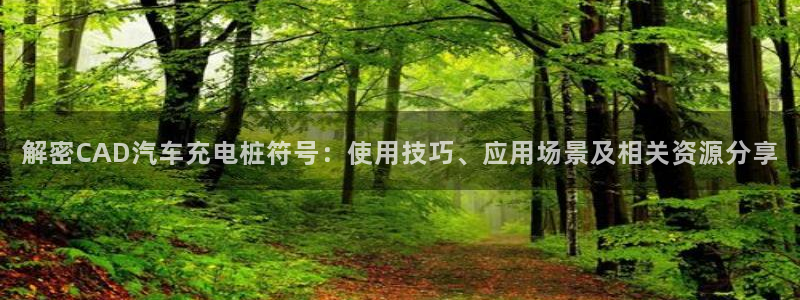威廉希尔网球官网：解密CAD汽车充电桩符号：使用技巧、应用场景及相关资源分享