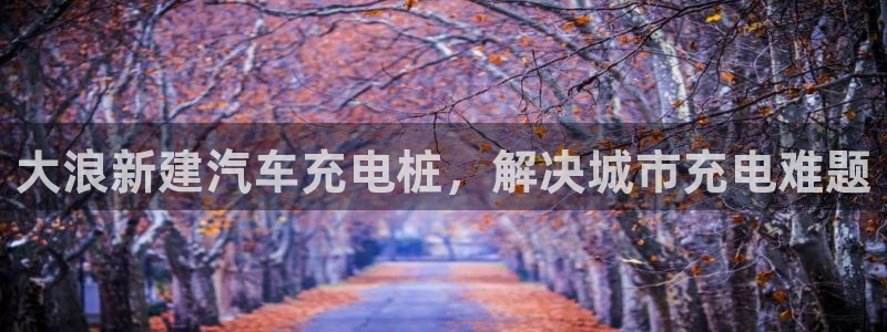 威廉国际平台有人玩过吗：大浪新建汽车充电桩，解决城市充电难题