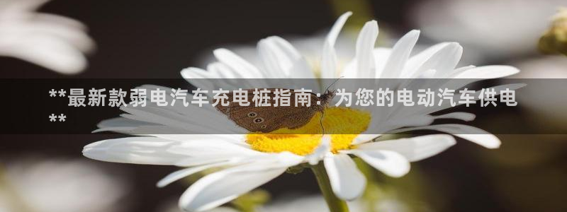 威廉希尔大小球开盘思维：**最新款弱电汽