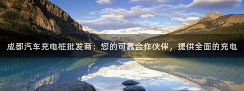 威廉与立博分析技巧：成都汽车充电桩批发商