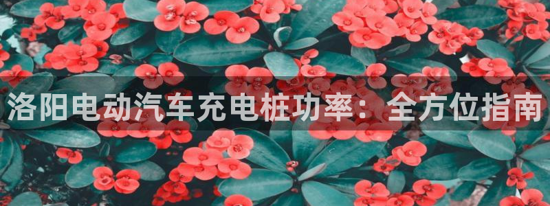 威廉国际不能提现：洛阳电动汽车充电桩功率