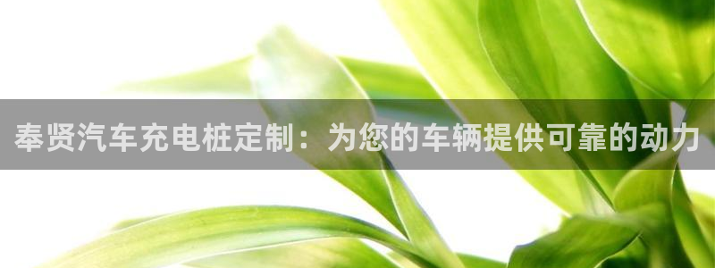 搜索威廉游戏主页：奉贤汽车充电桩定制：为您的车辆提供可靠的动力