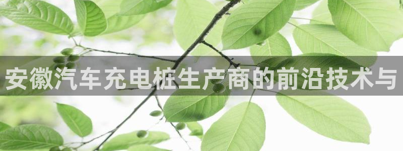 威廉网站是多少：安徽汽车充电桩生产商的前沿技术与