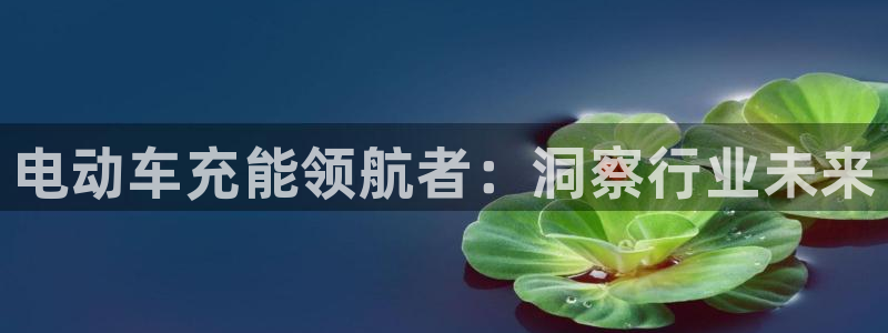威廉指标的参数是多少：电动车充能领航者：