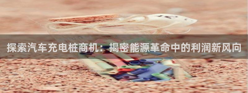 威廉国际马术中心：探索汽车充电桩商机：揭