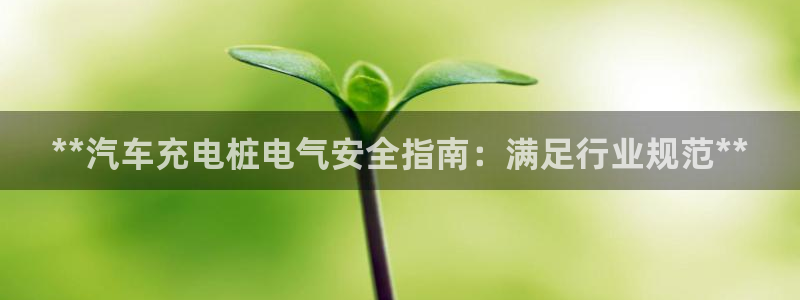 威廉谈球：**汽车充电桩电气安全指南：满