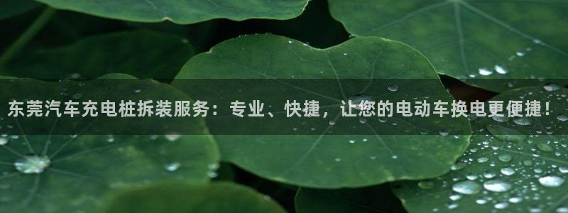 威廉希尔500指数：东莞汽车充电桩拆装服务：专业、快捷，让您的电动车换电更便捷！