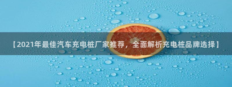 威廉希尔和inter初盘对比：【2021年最佳汽车充电桩厂家推荐，全面解析充电桩品牌选择】