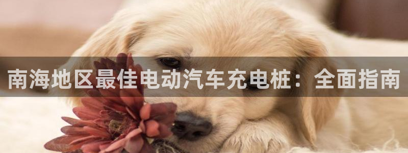 足球财富西甲威廉立博：南海地区最佳电动汽