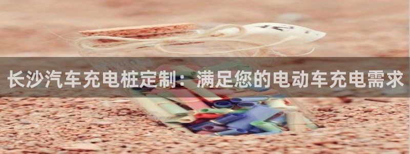 威廉希尔官网软件：长沙汽车充电桩定制：满