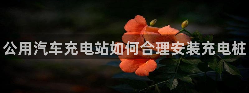 威廉希尔app怎么用：公用汽车充电站如何合理安装充电桩