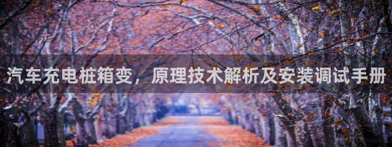 威廉希尔中文版：汽车充电桩箱变，原理技术解析及安装调试手册