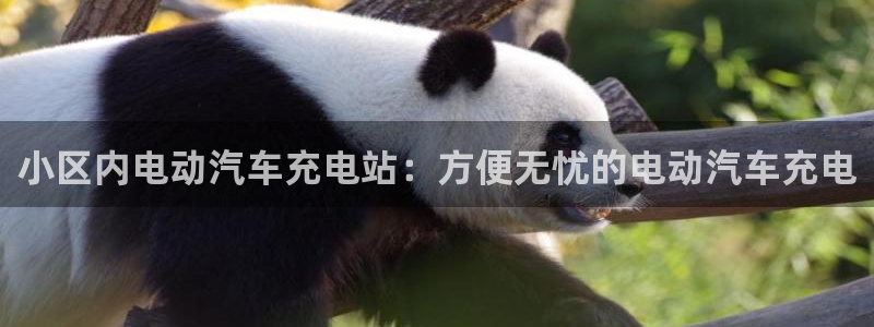 威廉希尔有app吗：小区内电动汽车充电站
