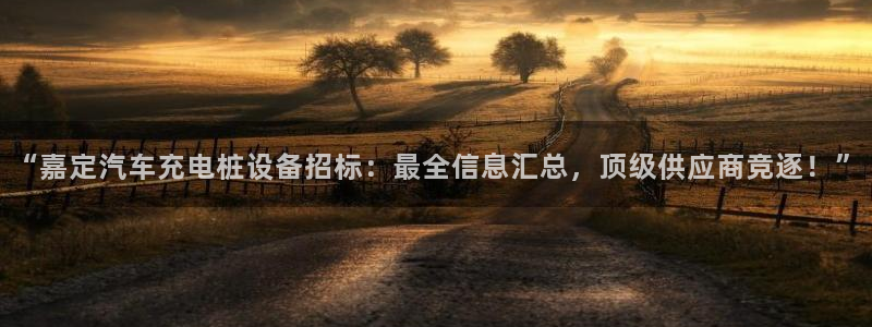 威廉指标什么意思：“嘉定汽车充电桩设备招标：最全信息汇总，顶级供应商竞逐！”