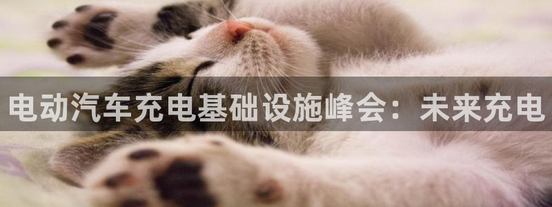 威廉希尔立博相同项：电动汽车充电基础设施峰会：未来充电