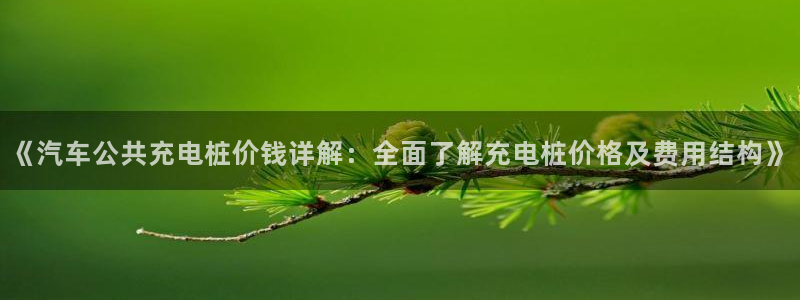 威廉看球：《汽车公共充电桩价钱详解：全面了解充电桩价格及费用结构》