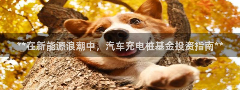 威廉体育中文解说：**在新能源浪潮中，汽车充电桩基金投资指南**