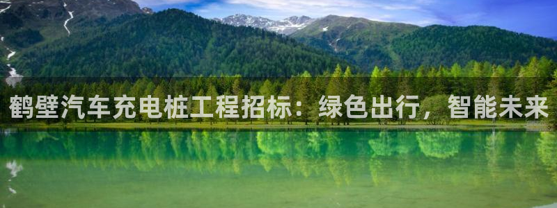 威廉希尔立博对比：鹤壁汽车充电桩工程招标：绿色出行，智能未来