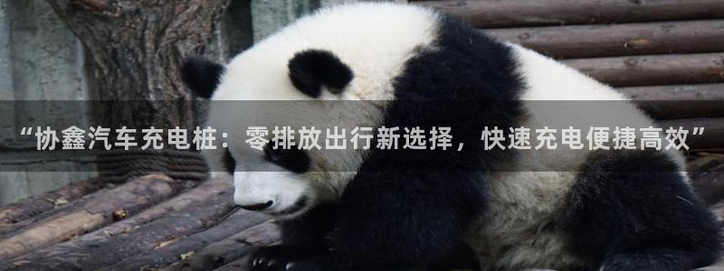 威廉希尔 1.95 3.20 3.50：“协鑫汽车充电桩：零排放出行新选择，快速充电便捷高效”