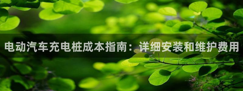 威廉希尔在中国怎么买：电动汽车充电桩成本指南：详细安装和维护费用