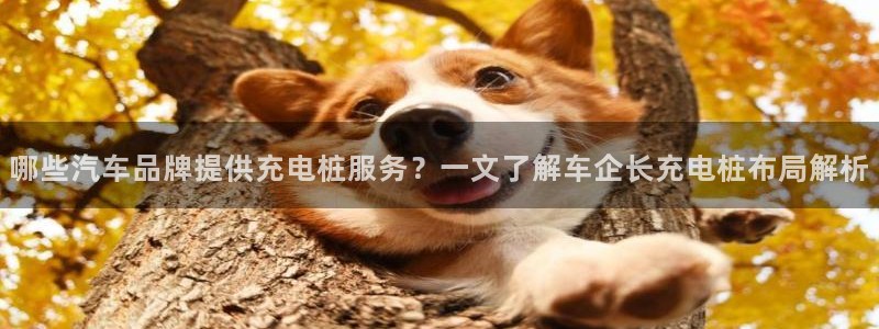 威廉希尔浏览器国际版：哪些汽车品牌提供充电桩服务？一文了解车企长充电桩布局解析