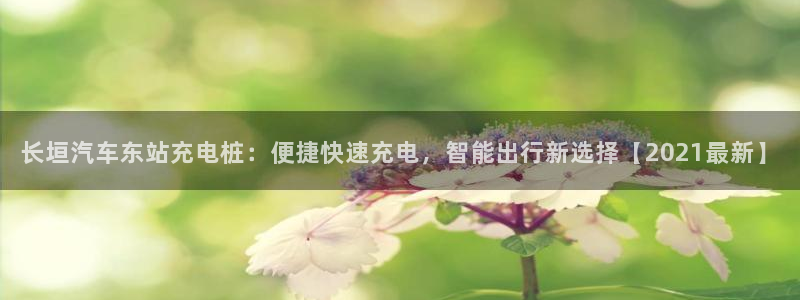 威廉与澳门的关系：长垣汽车东站充电桩：便捷快速充电，智能出行新选择【2021最新】