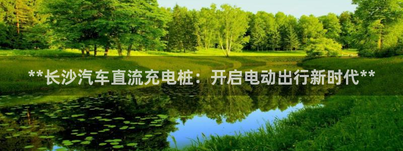 英国威廉希尔公司平台：**长沙汽车直流充电桩：开启电动出行新时代**