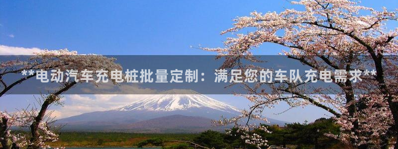 威廉希尔足球分析师：**电动汽车充电桩批量定制：满足您的车队充电需求**
