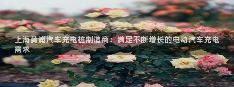 威廉希尔凯利值预测结果：上海黄浦汽车充电
