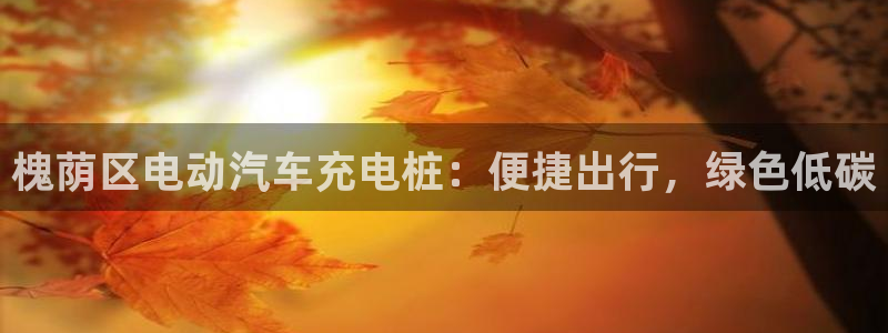 威廉希尔足球官网 百科：槐荫区电动汽车充