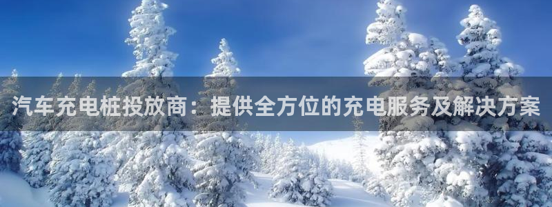 威廉希尔和interwetten：汽车充电桩投放商：提供全方位的充电服务及解决方案