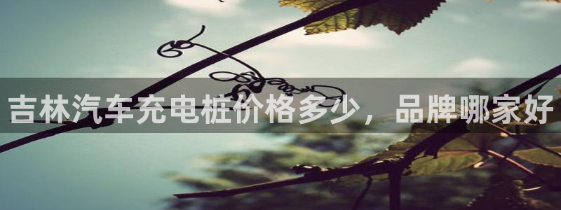 威廉希尔官网软件：吉林汽车充电桩价格多少