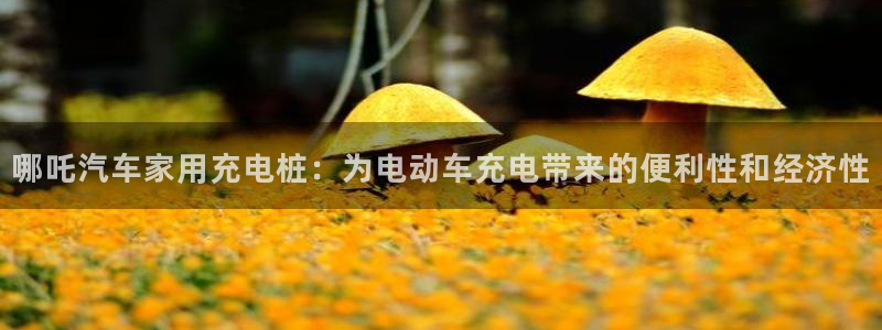 威廉希尔黑款：哪吒汽车家用充电桩：为电动